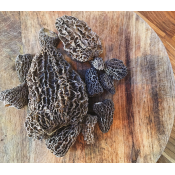 Morilles Sauvages